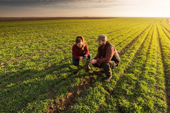 Auditorías de graneles agropecuarios y verificación de cultivos de parcelas